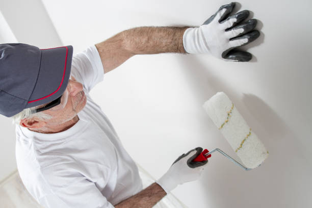 Best Drywall Removal and Disposal  in Alum Rock, CA